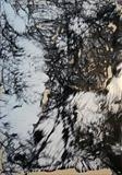 White V Black 1 by Kelvin Burr, Painting, Oil on Board